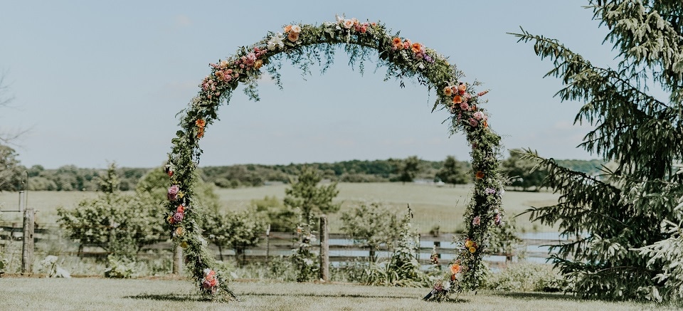 Beautiful Seasonal Flowers Banner